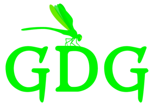 Green Dragonfly Gallery